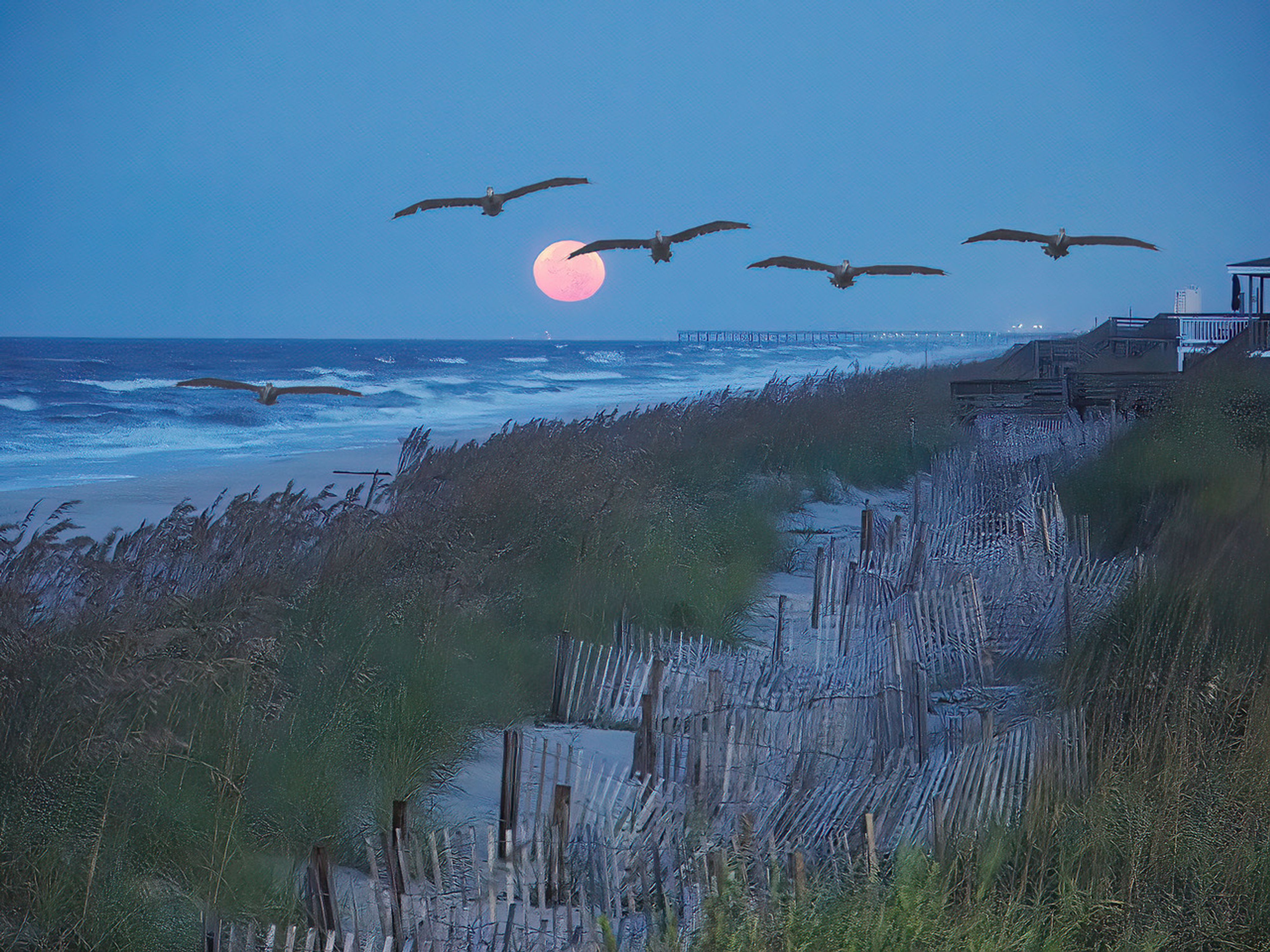 Moon Set in early Morning