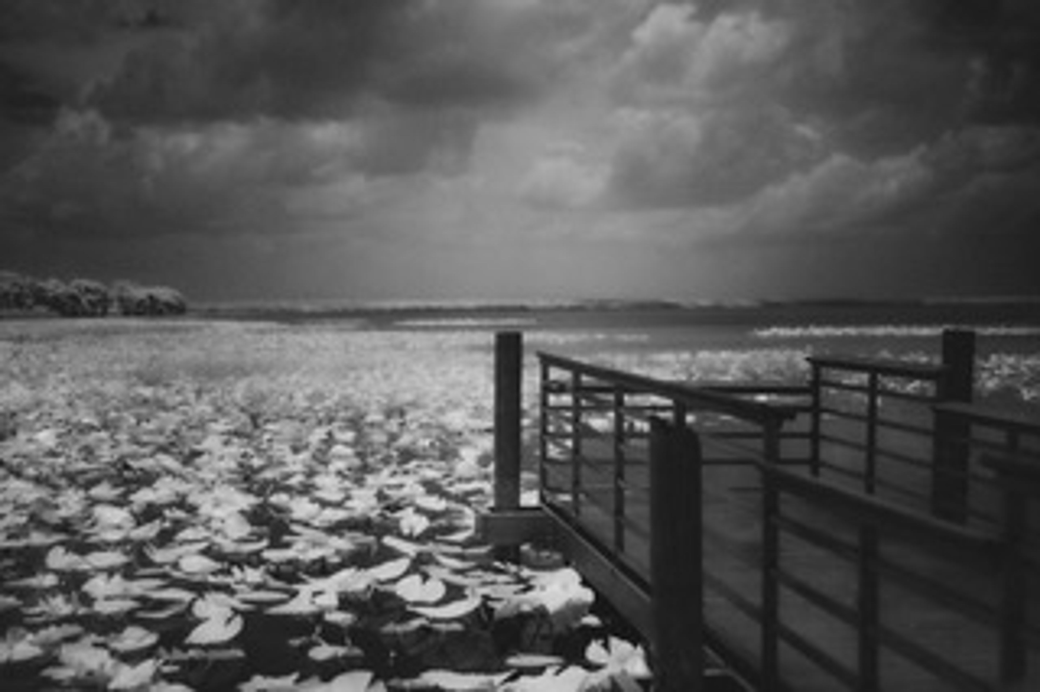 Burnt Island Dock IR