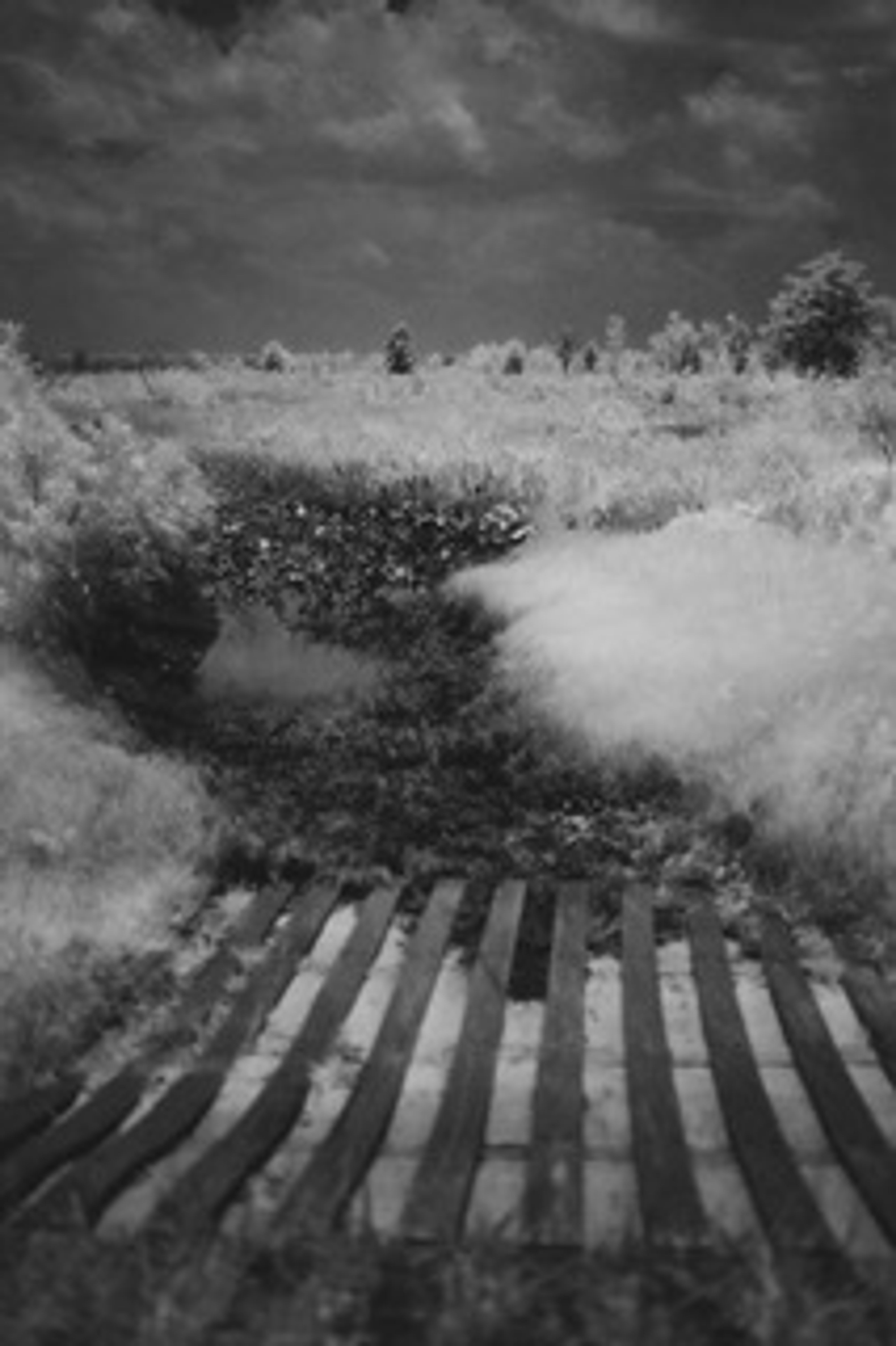 Burnt Island Crossing IR