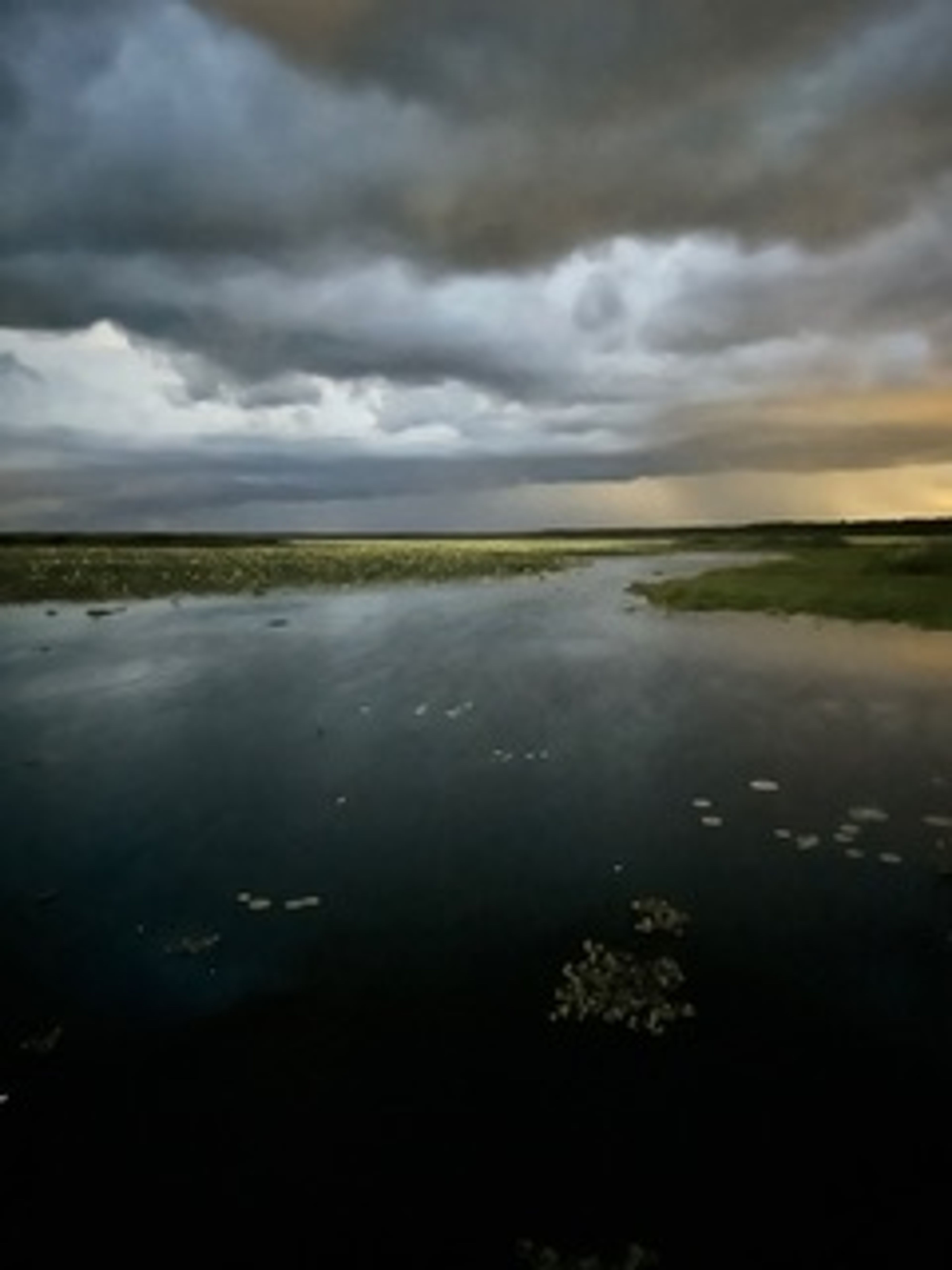 Paynes Prairie Evening
