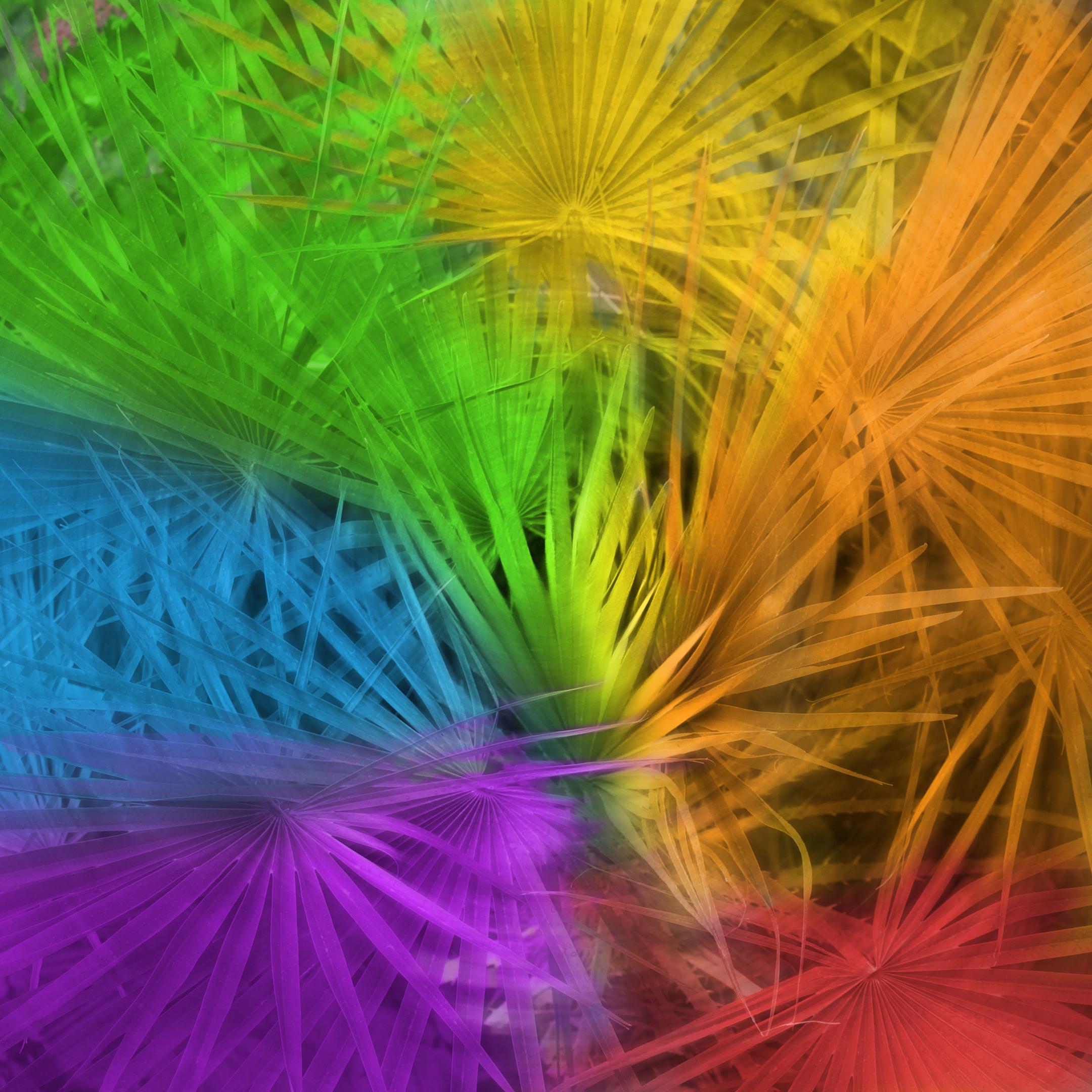 Spinning Fronds of Color