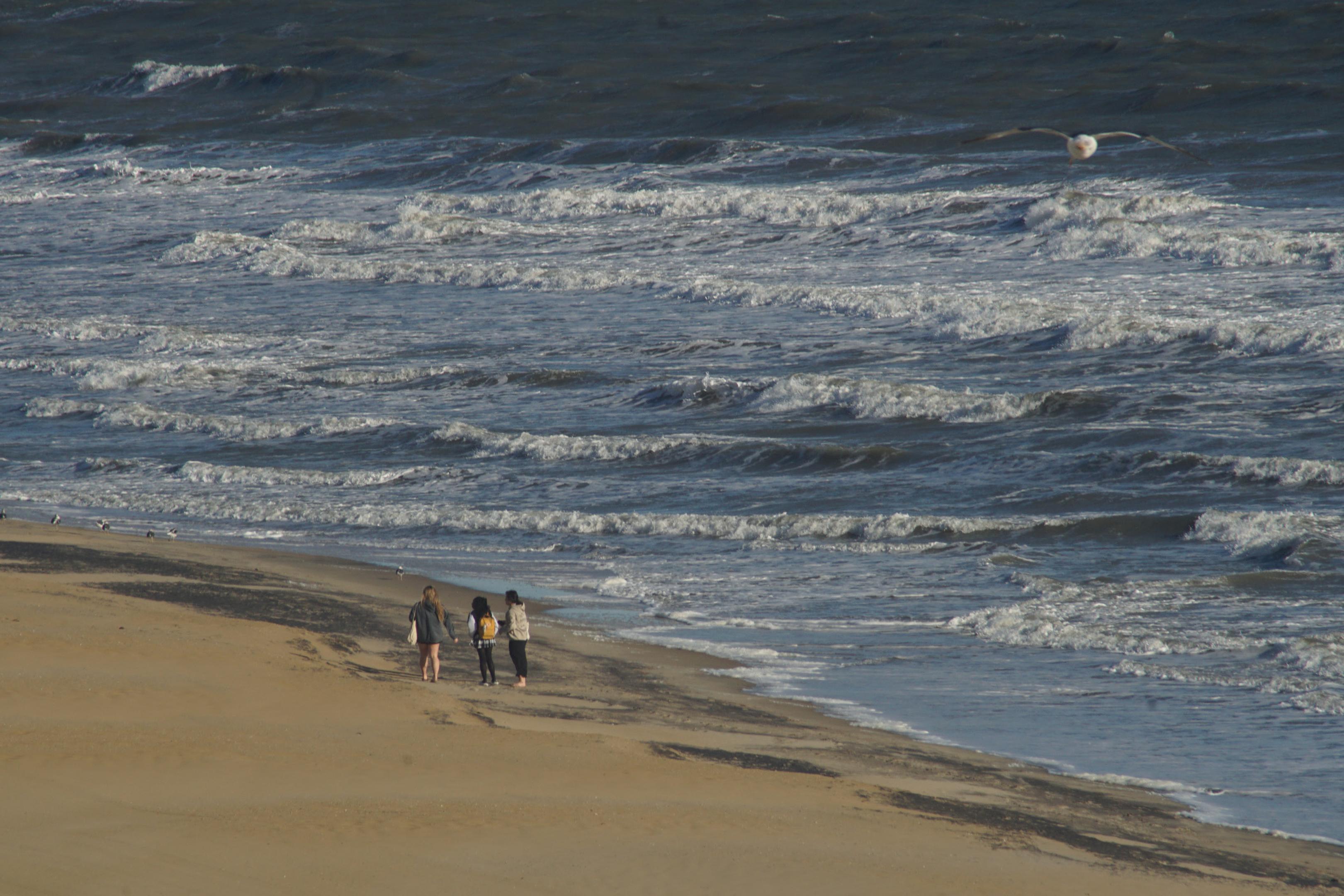Winter Waves And Beachgoers