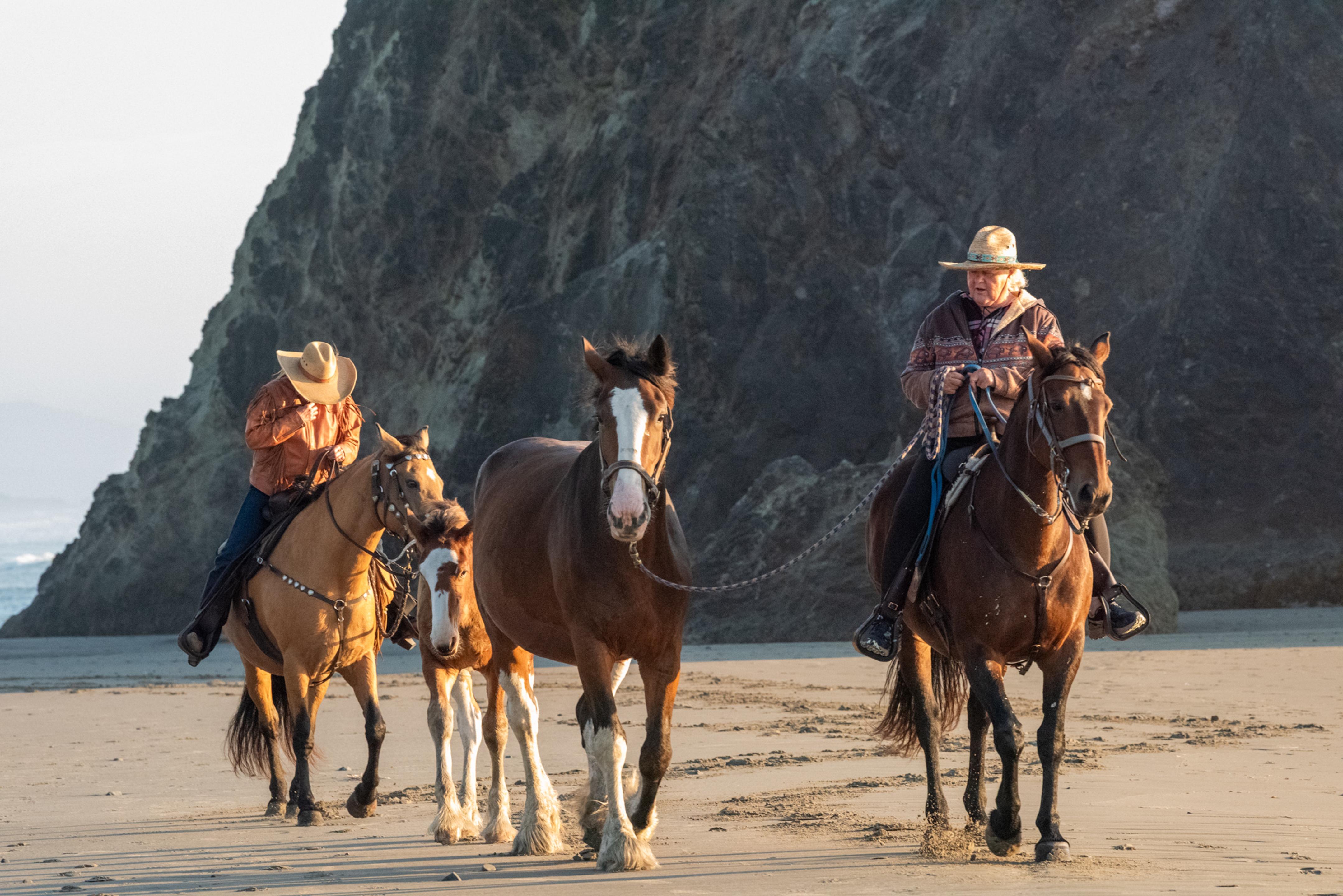 Wranglers