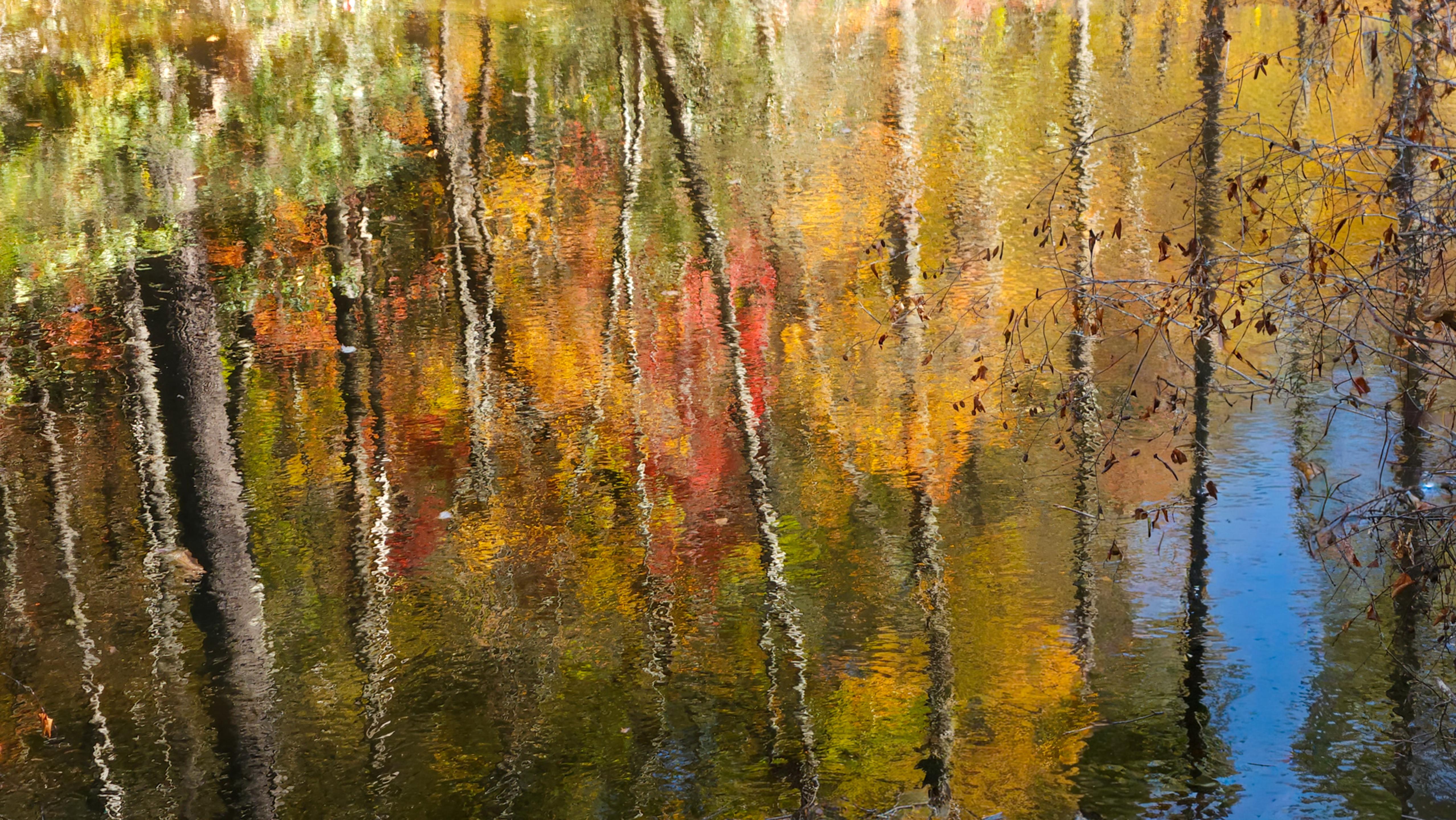 Rivers Edge
