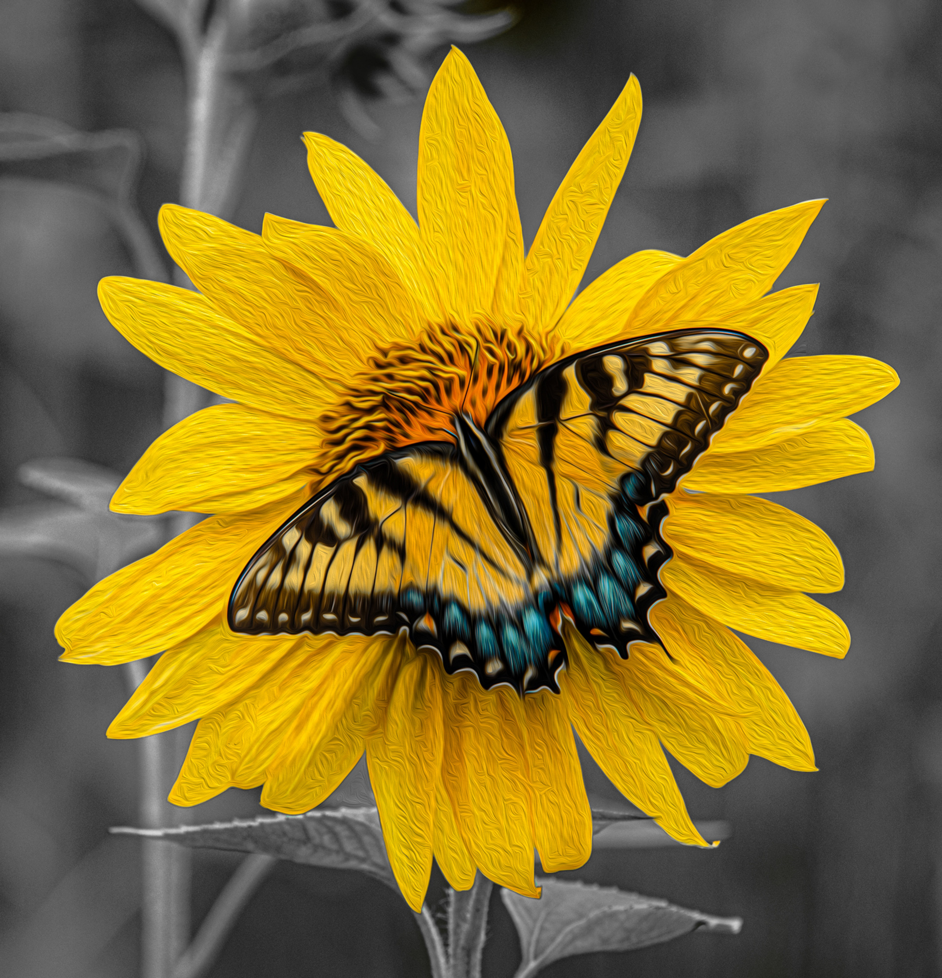 Tony Colburn - Butterfly