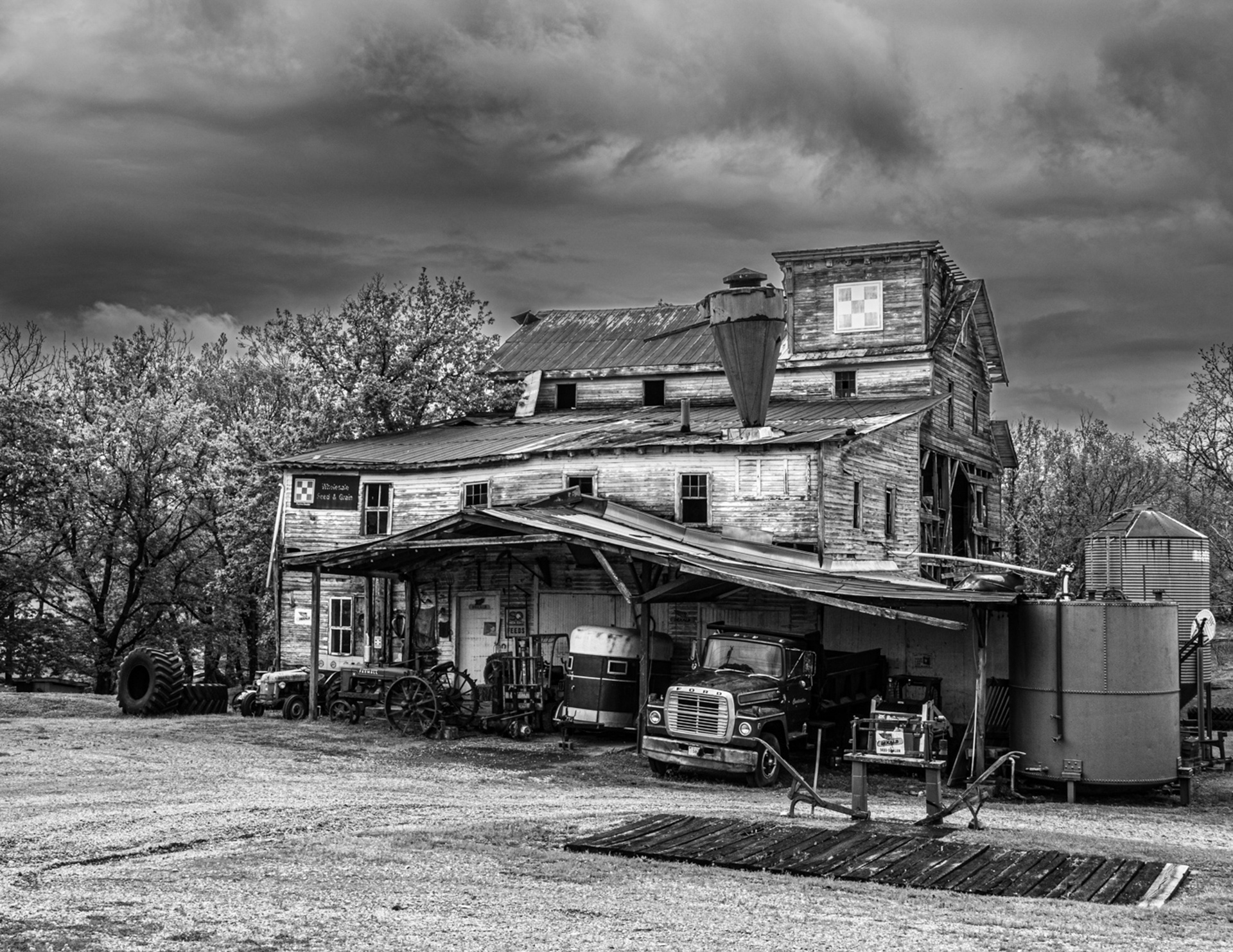 Susan Hayworth - Grain Whispers