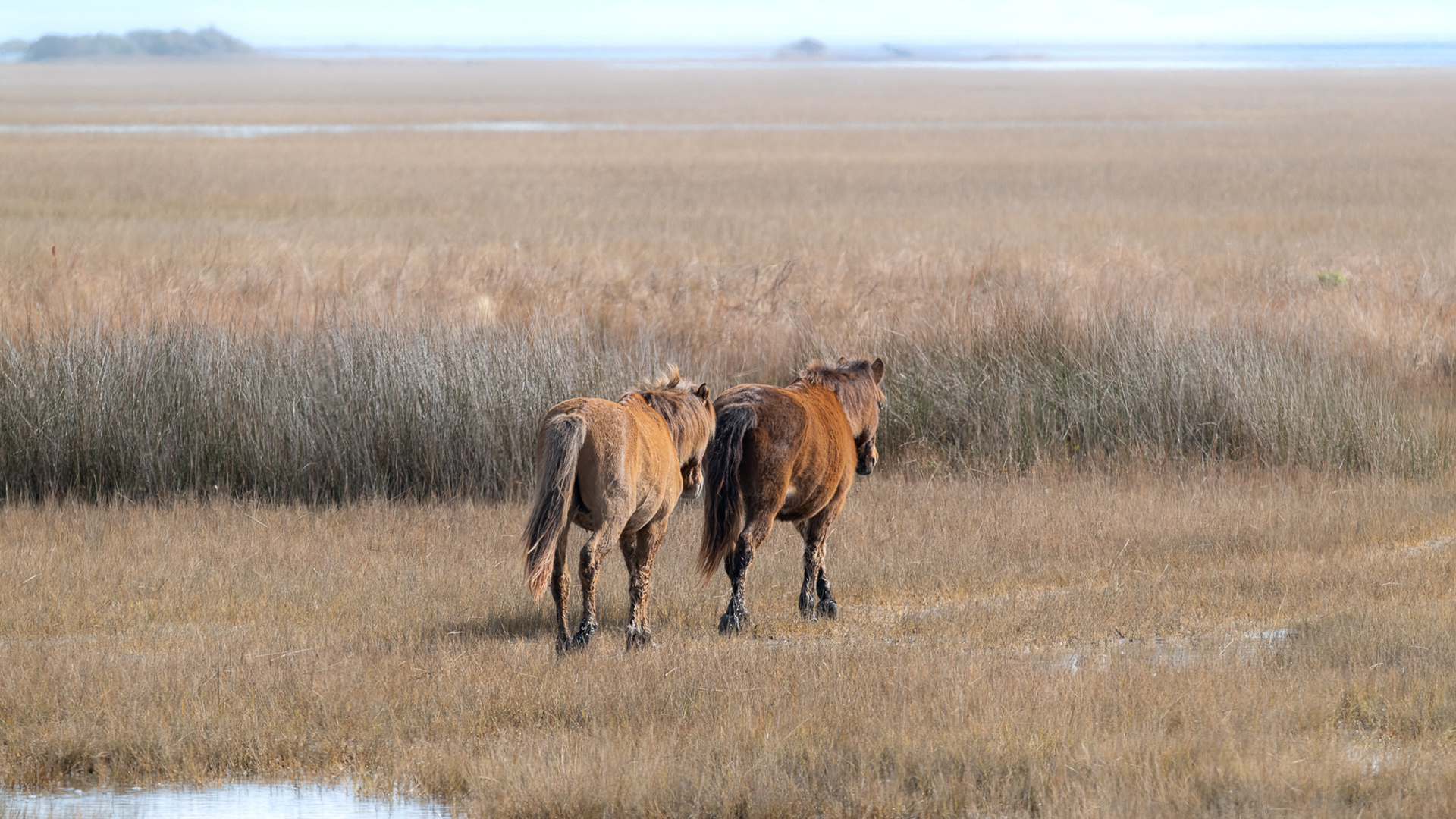 Where We Go Together