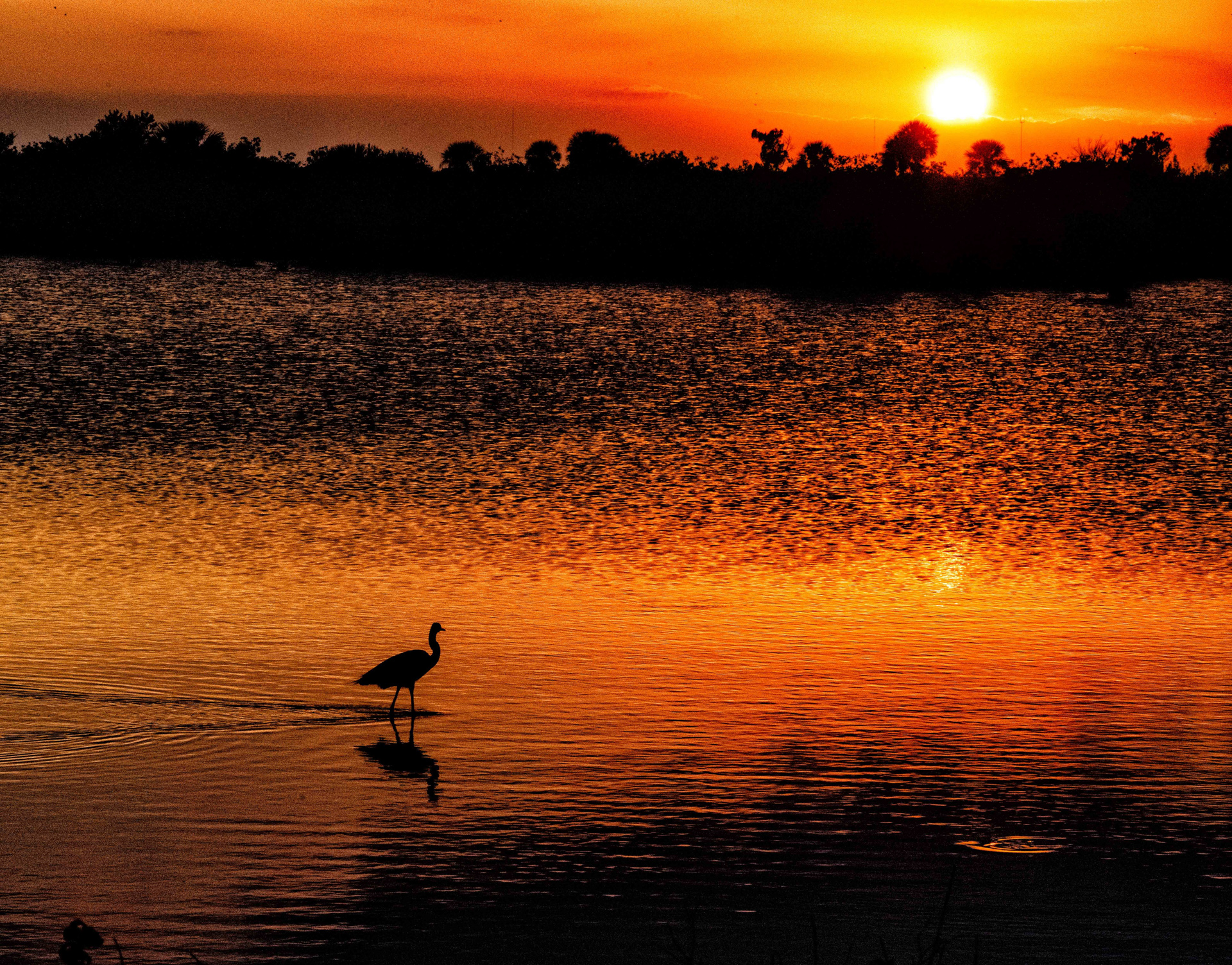 Franklyn Millman - Sunset