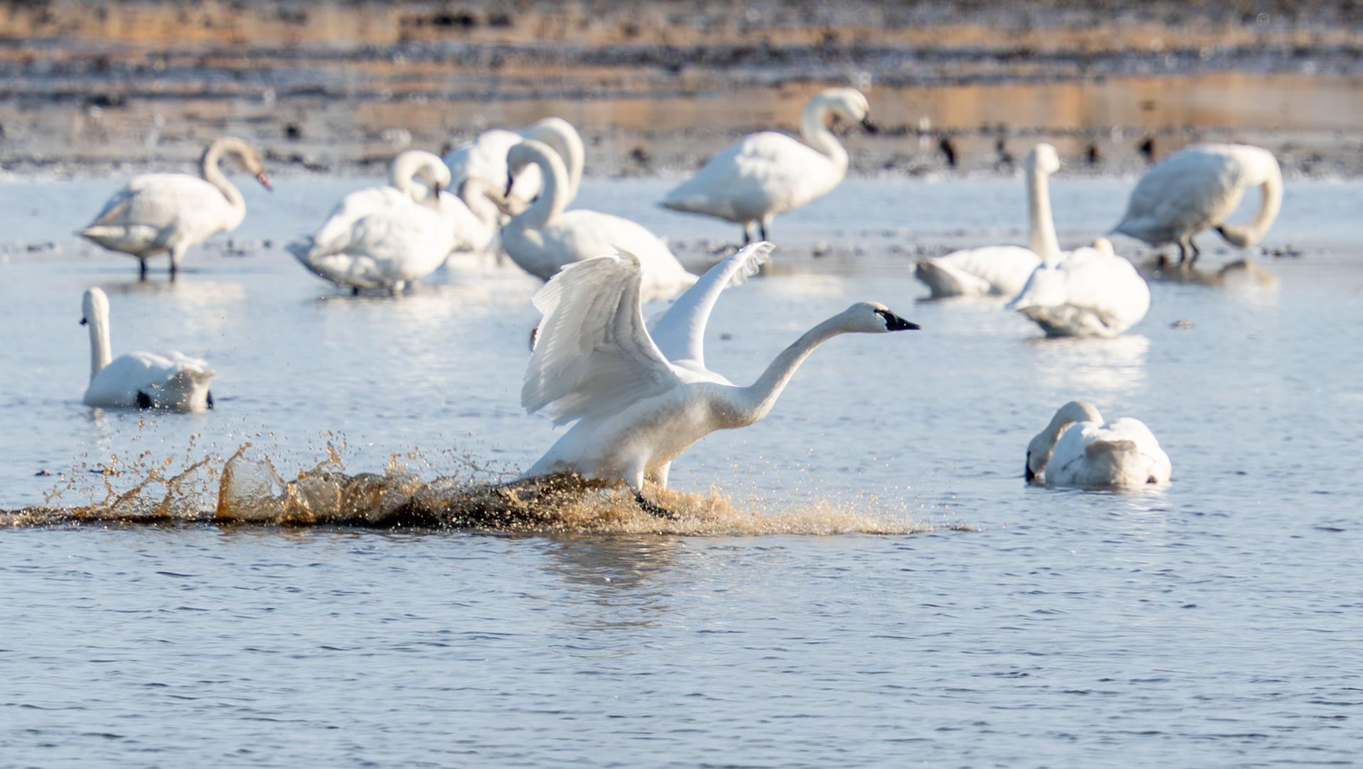 Leaving the Others Behind