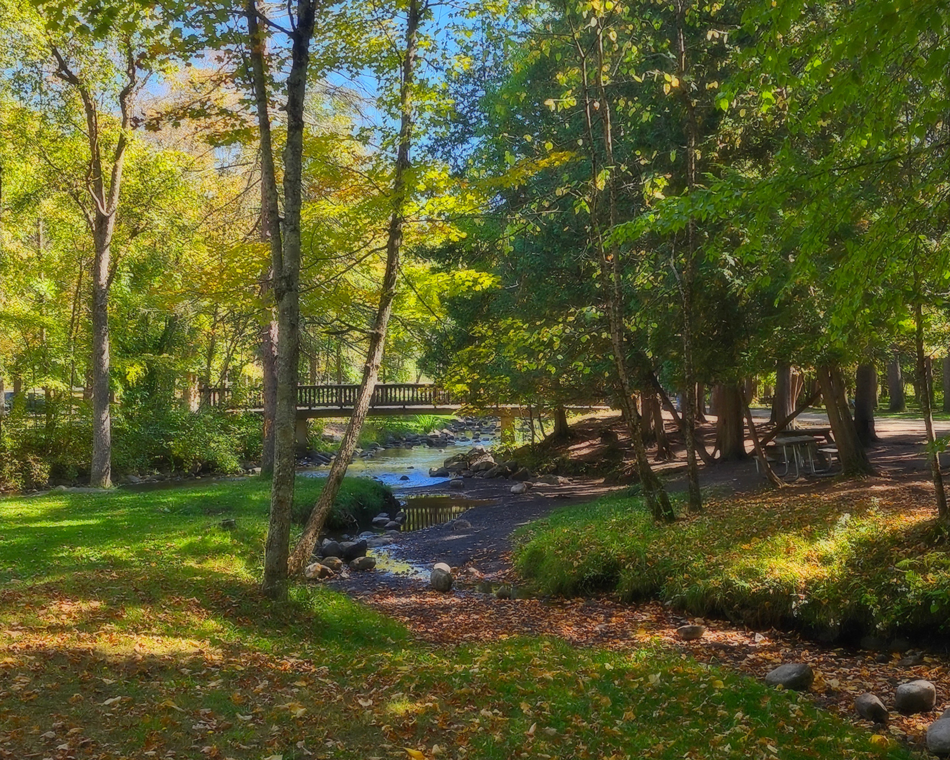 Early Autumn Stream