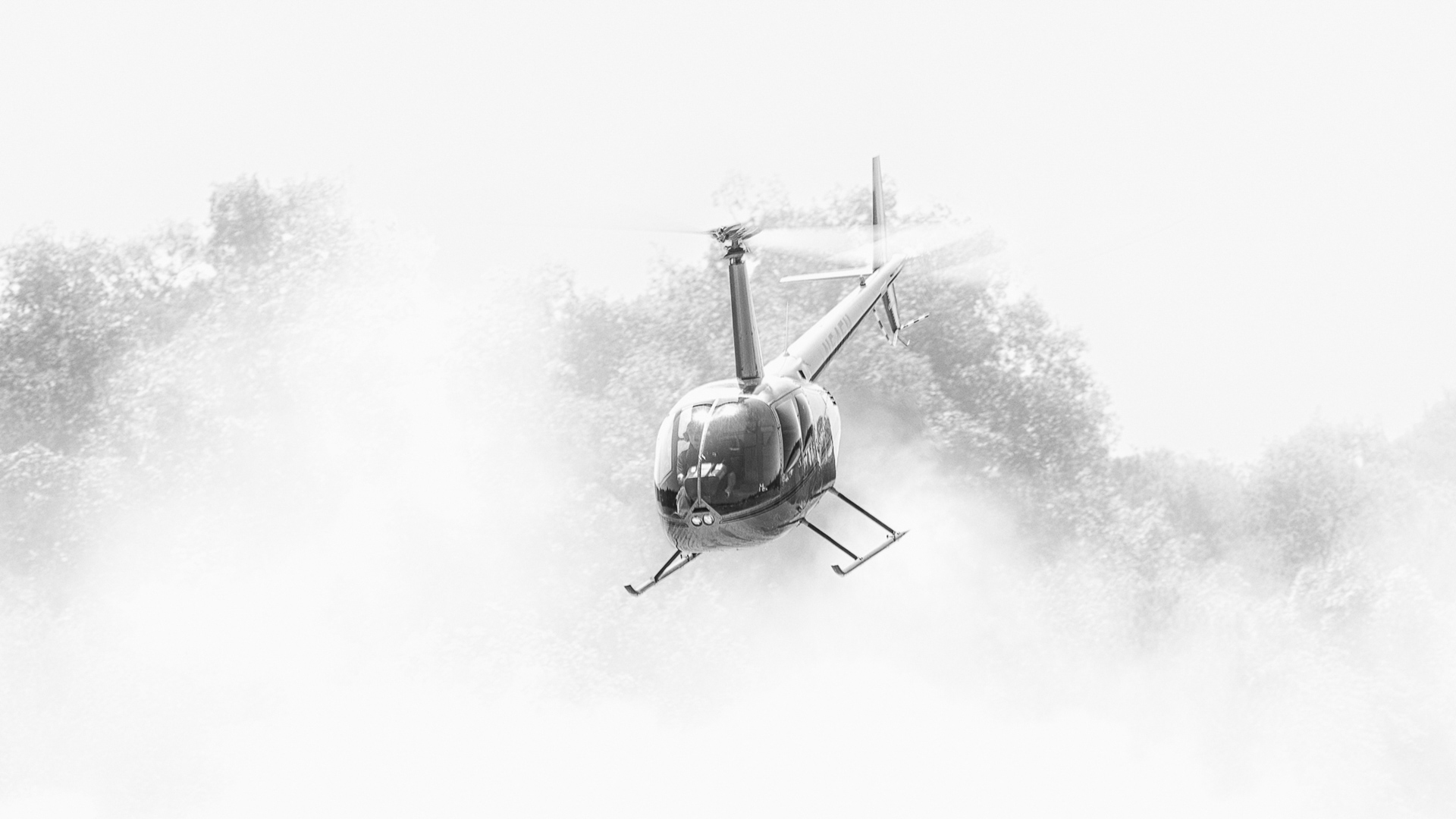 Timothy Hutson - Ghost in the Mist