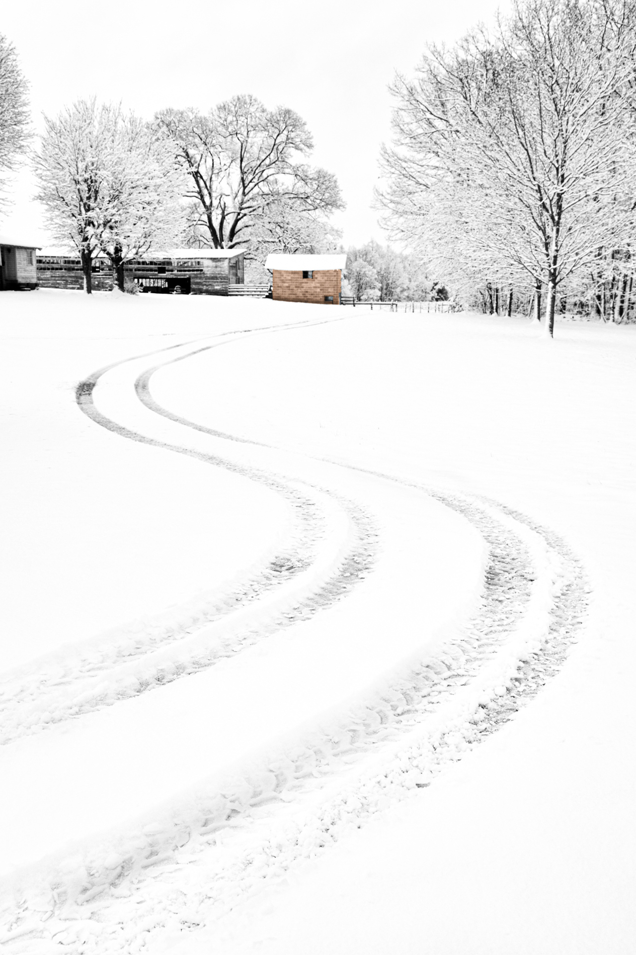 Tracks in the Snow