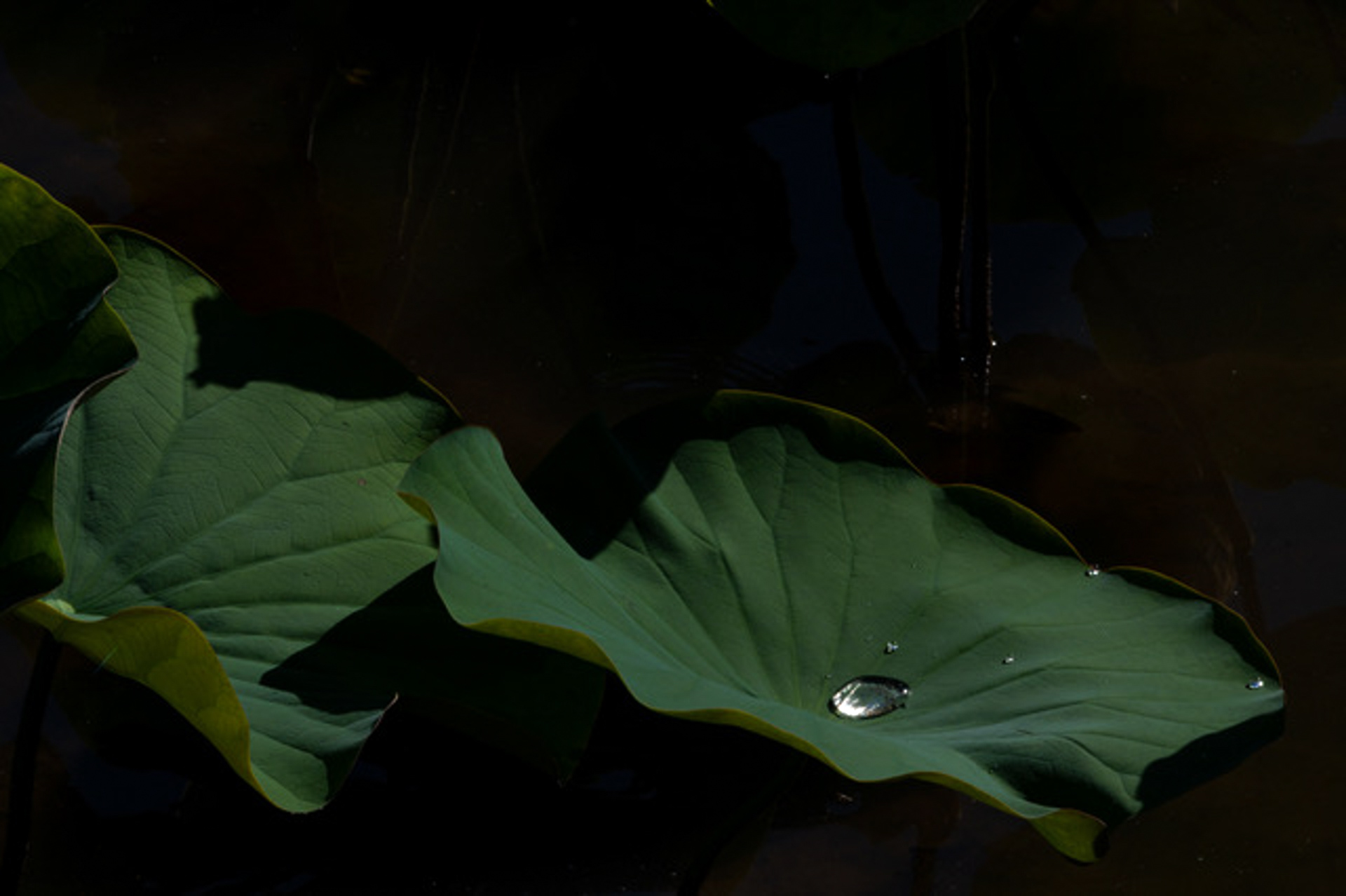 Reflections