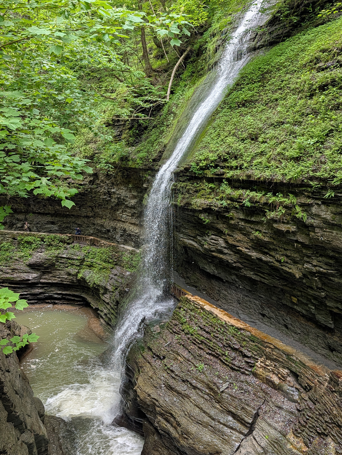 Watkins Glen
