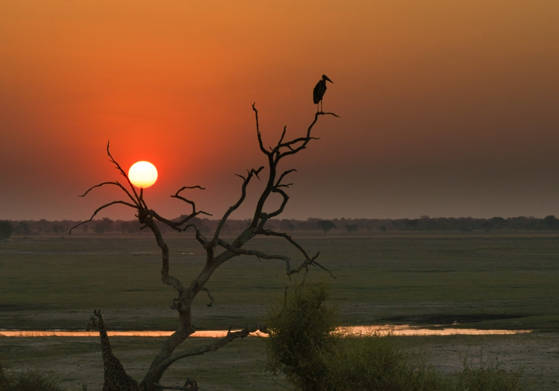 Bill Cowden - African Sunset