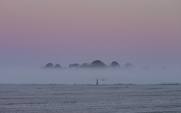 Early Morning Frosty Mist