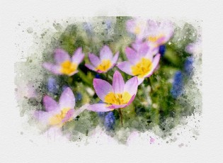 20200519-Karen-Vohs-Watercolor-flowers