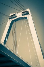 20200519-Karen-Vohs-Willemsbrug-Bridge-Rotterdam