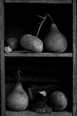 Gourds and Shells