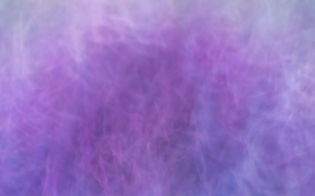 20250812 – PPC Year End Contest Results