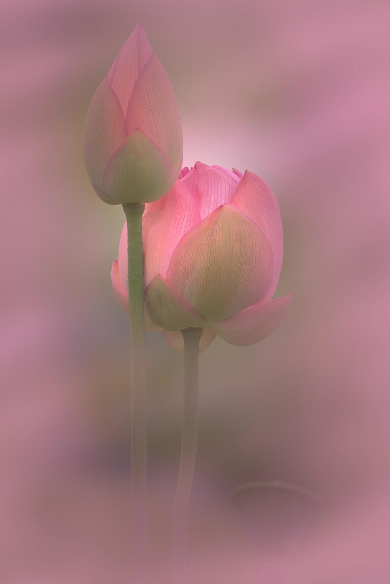 Lean On