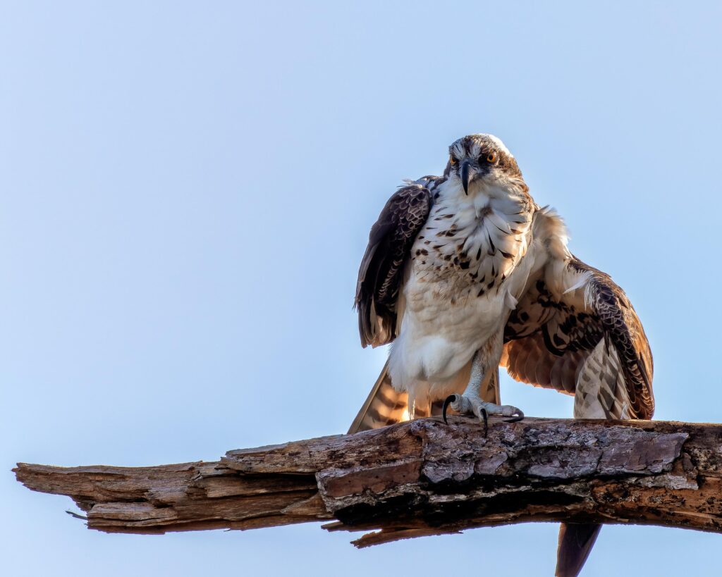 Its Right Down There