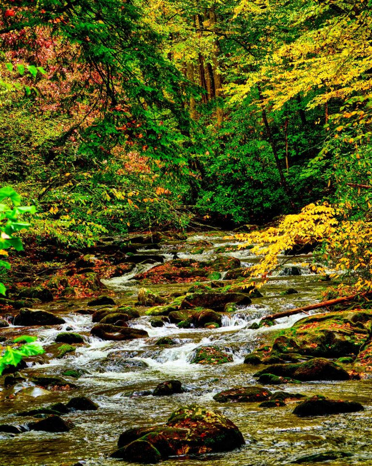 Silent Stream