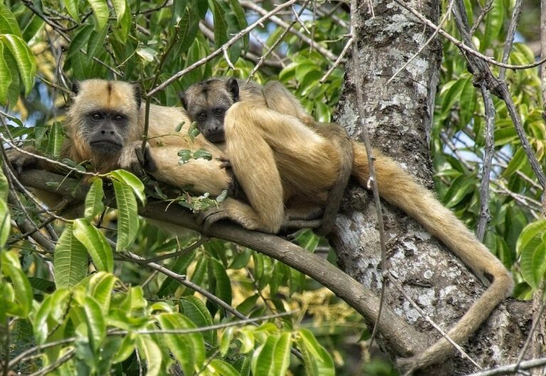 Mother and Child