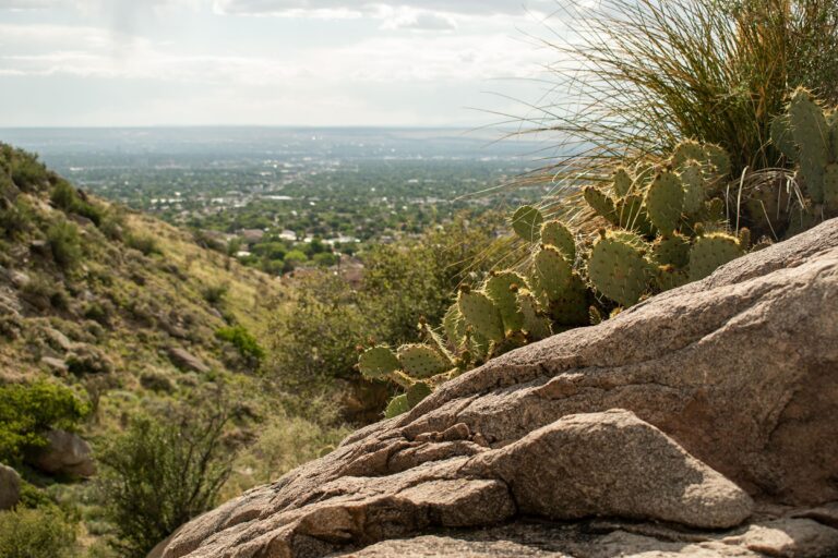 High Desert
