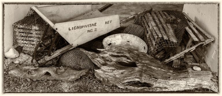 Lignum Vitae