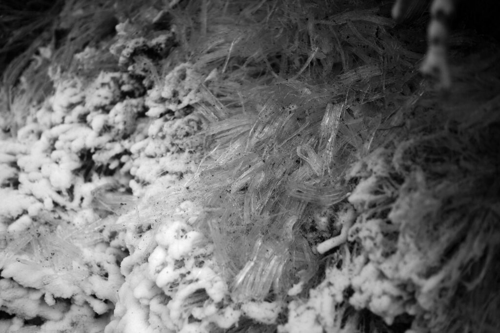 Ice Crystals From the Soil