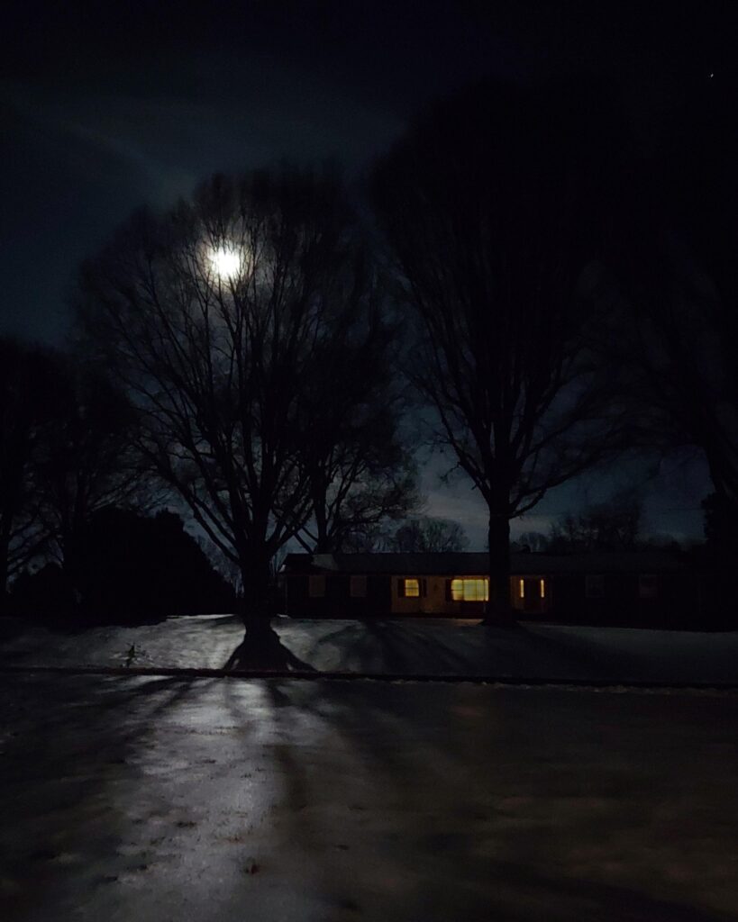 Winter Moonlight