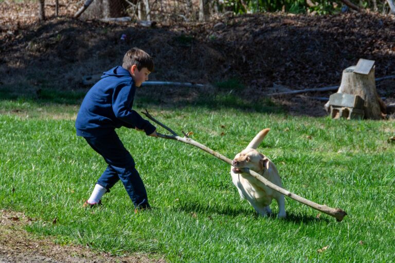 The Dog Won