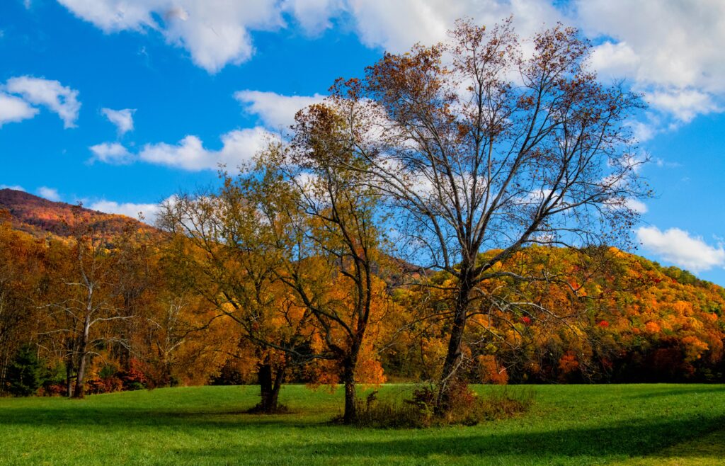 Cades Cove