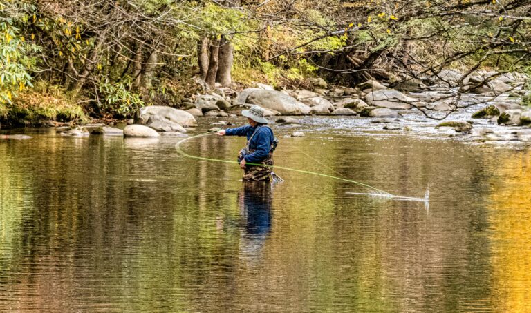Missed the Trout
