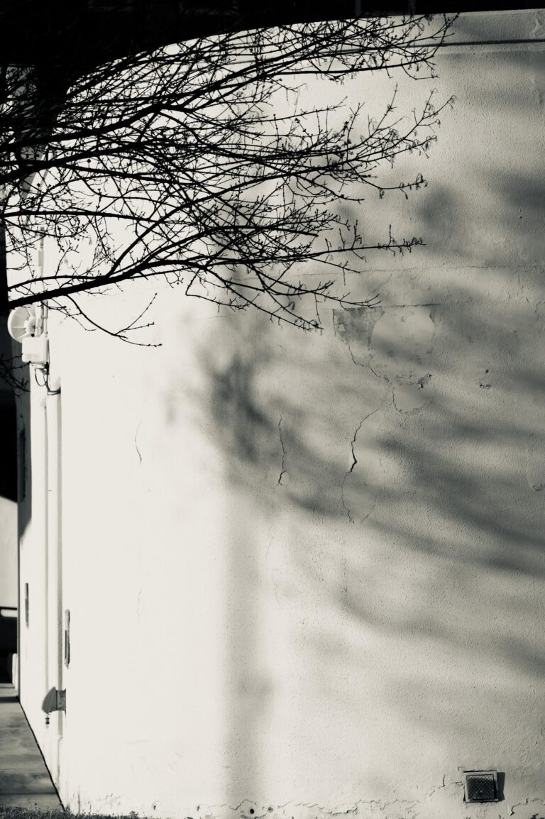 Shadow Play