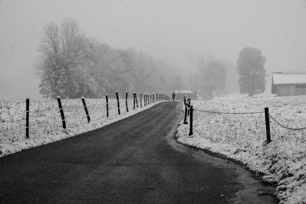 Down From the Mountain