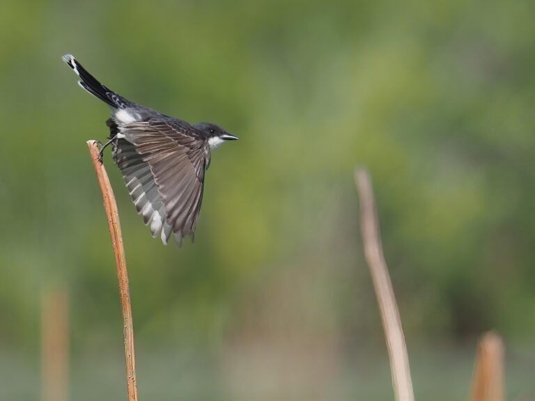 Taking Off