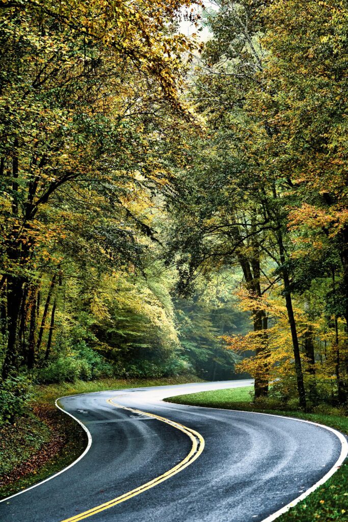 Autumn Silence