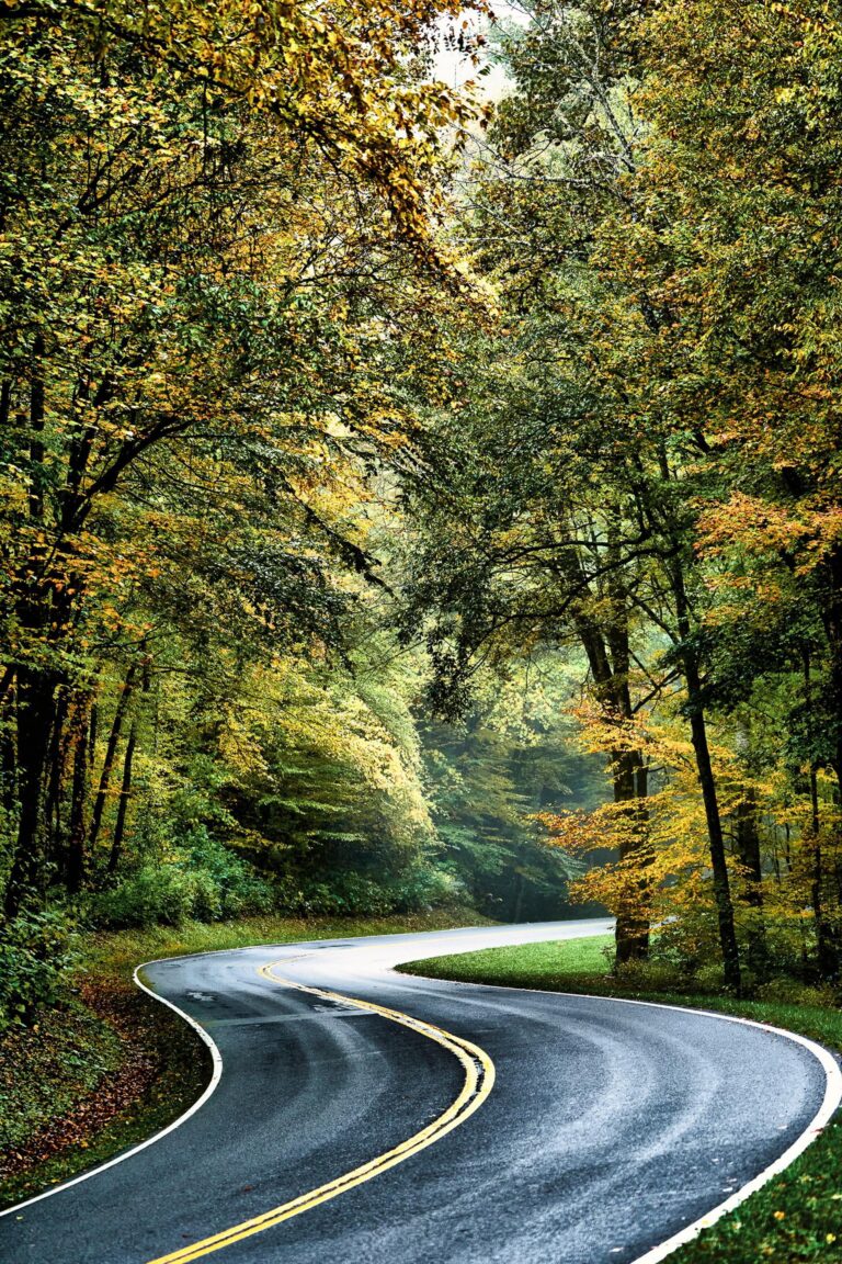 Autumn Silence