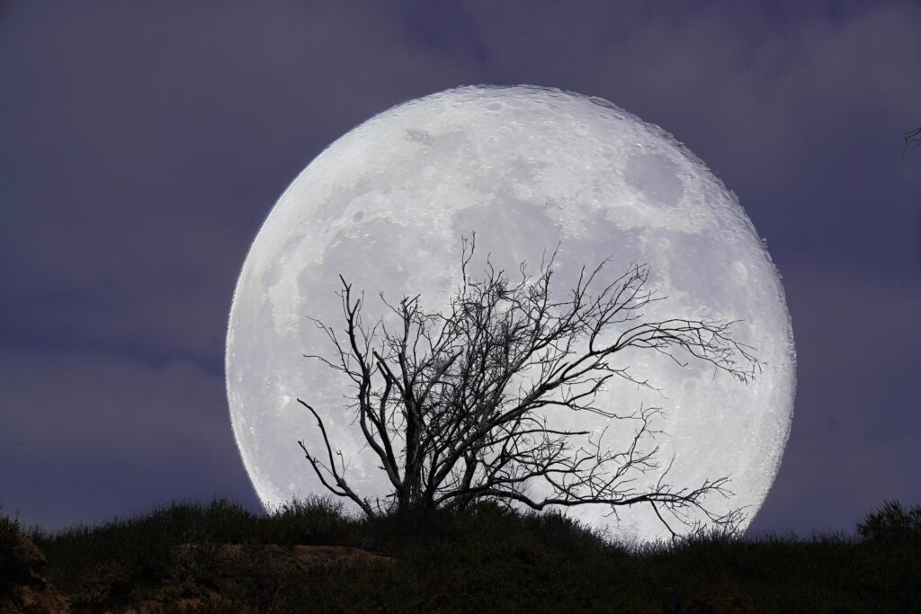 Autumn Moon