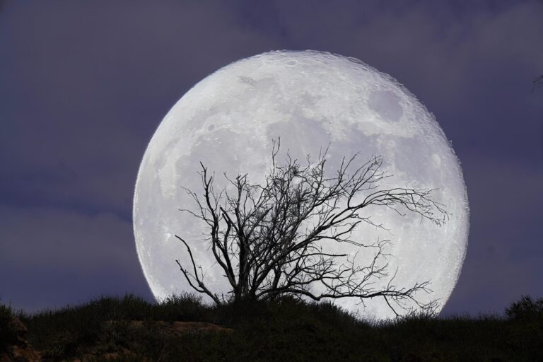 Autumn Moon