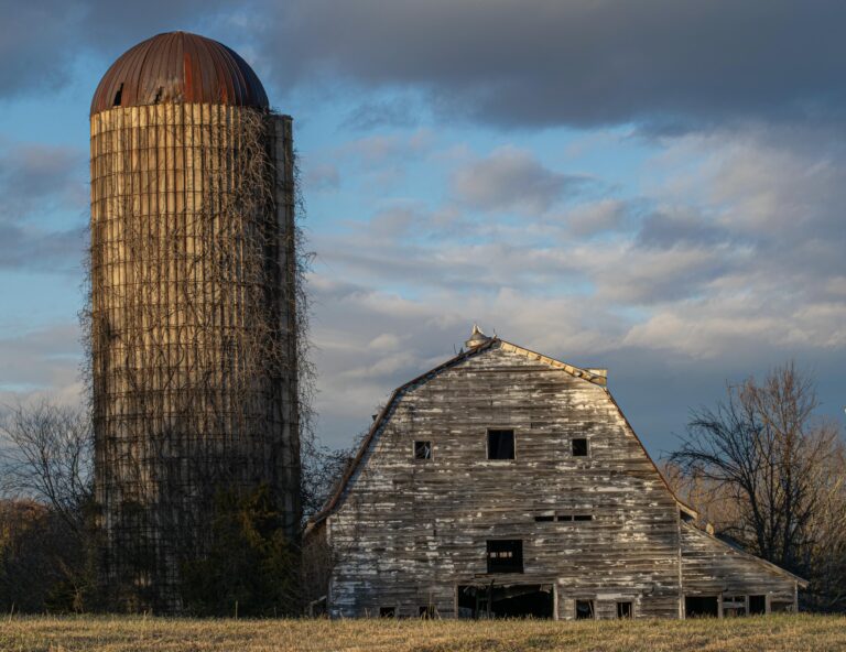 Abandon