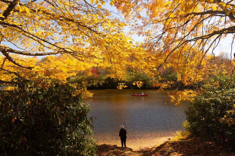 Price Lake