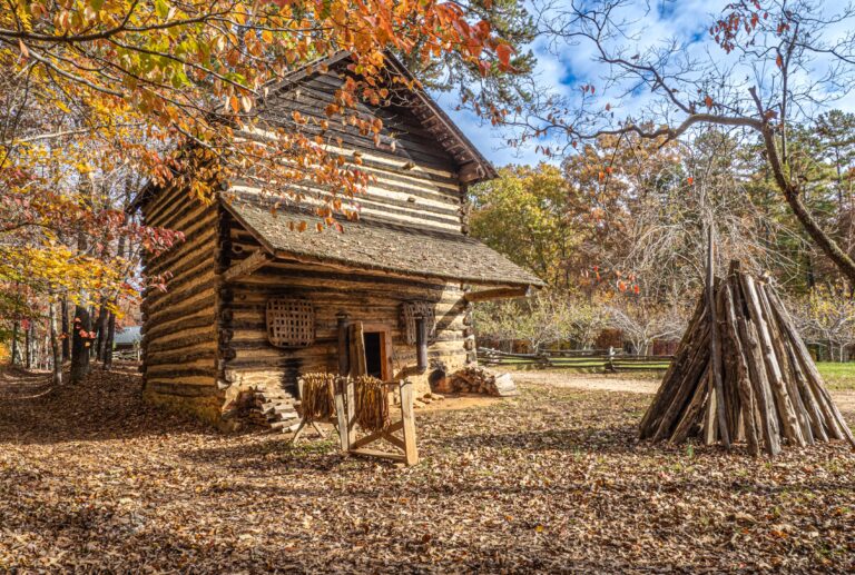 Autumn Harvest