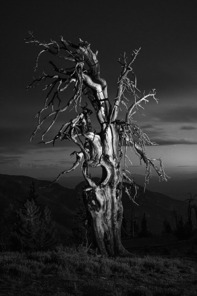MT Washington Sentry