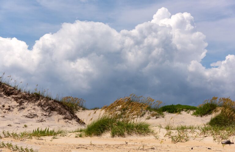 Coquina Beach