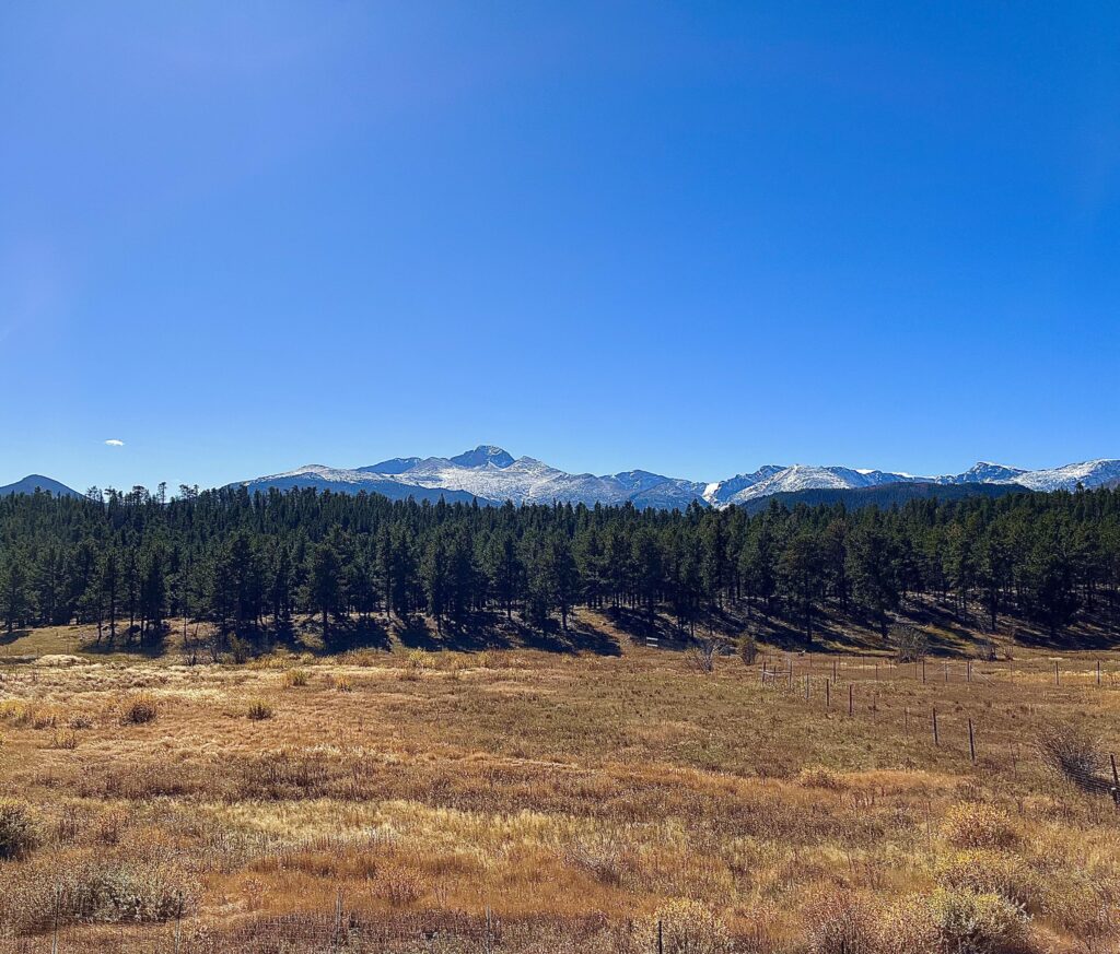 A Nap at in the Park