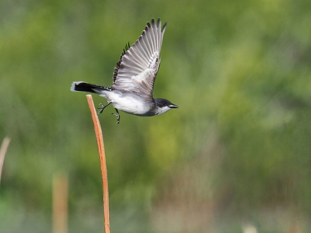 Taking Off