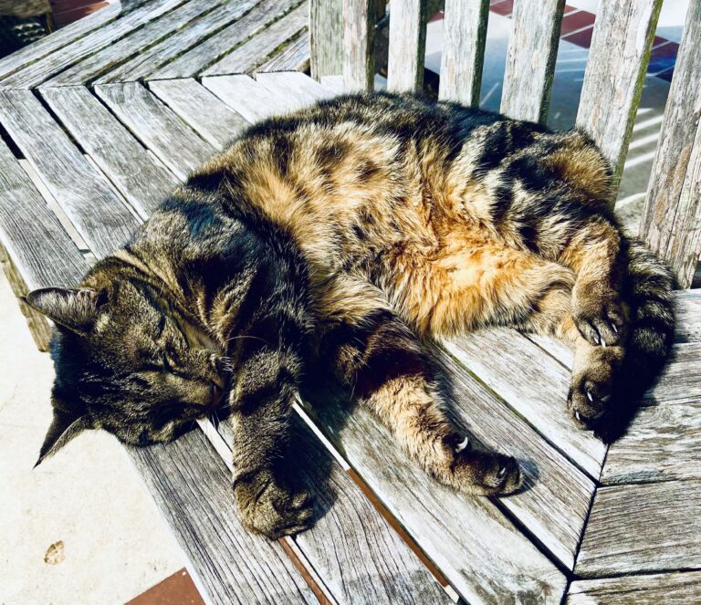 Plumb Tuckered Out
